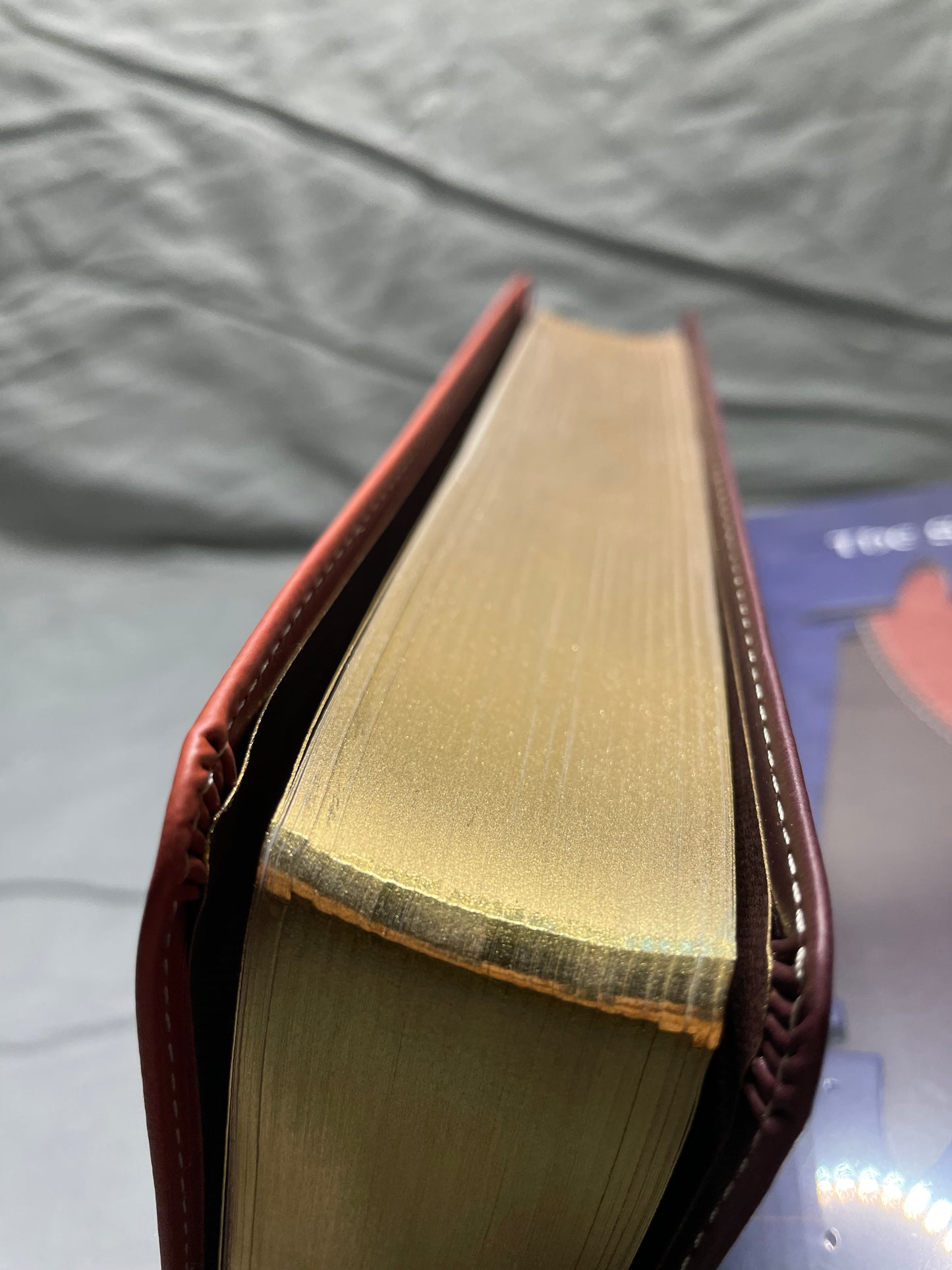 The Scripture, Duotone Tan