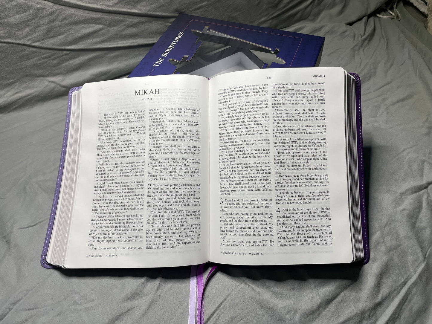 The Scripture, Duotone Purple