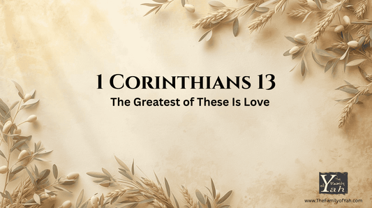Seed Bits Bible study of 1 Corinthians 13 on set-apart love