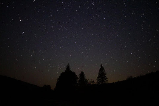 W.O.W. - Word of The Week - Night