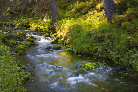 W.O.W. - Word of the Week - RIVER