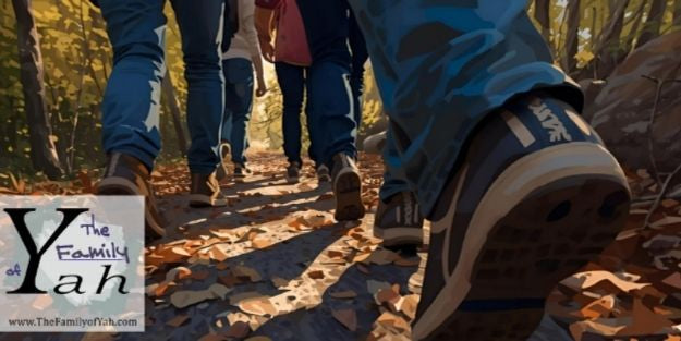 family journeying through the forest