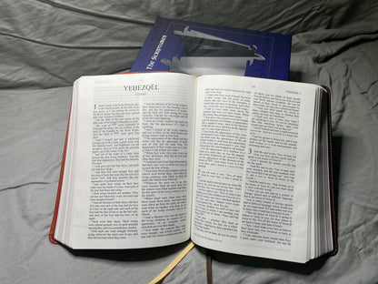 The Scripture, Duotone Tan