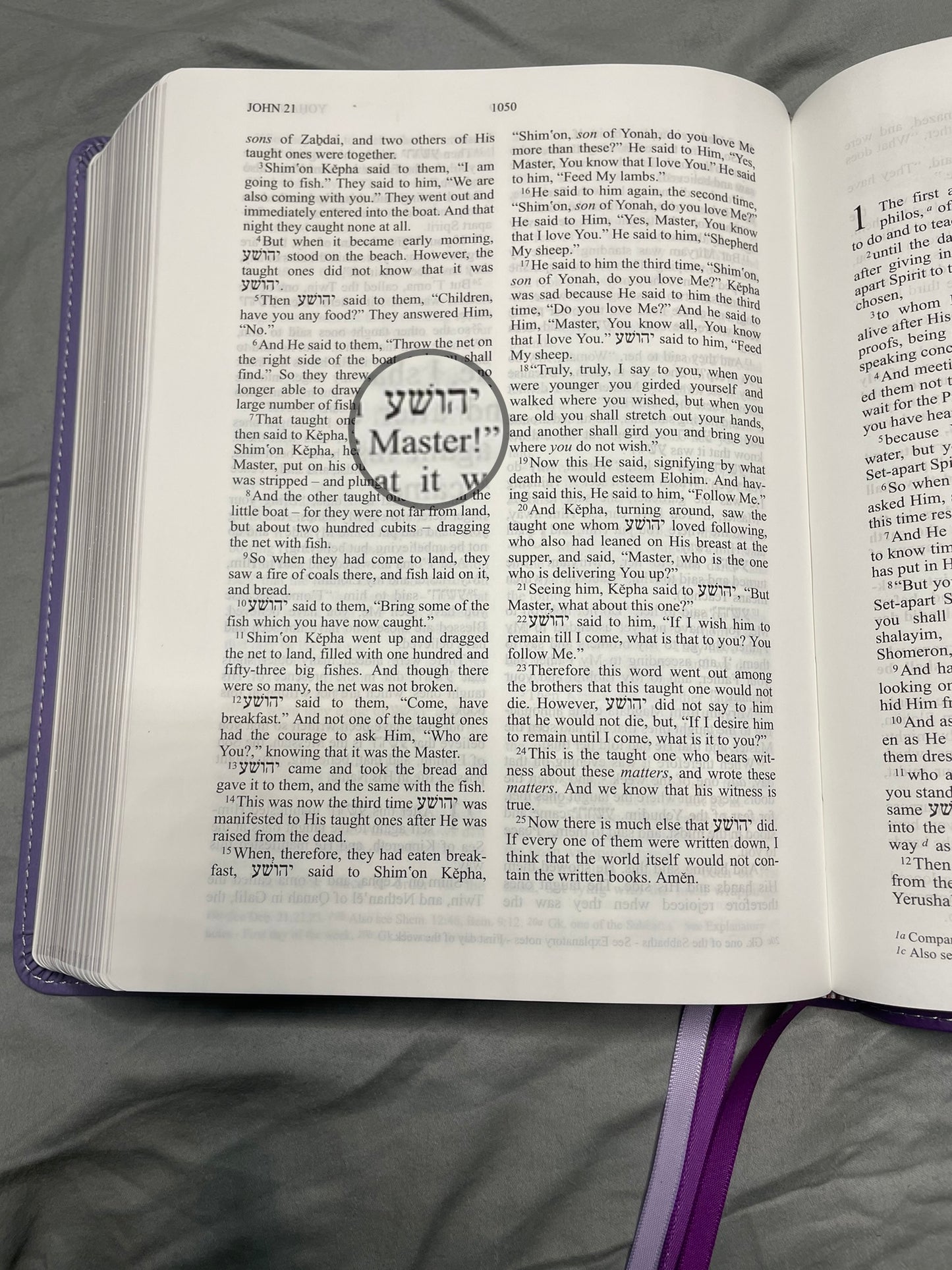 The Scripture, Duotone Purple