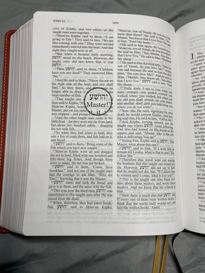 The Scripture, Duotone Tan