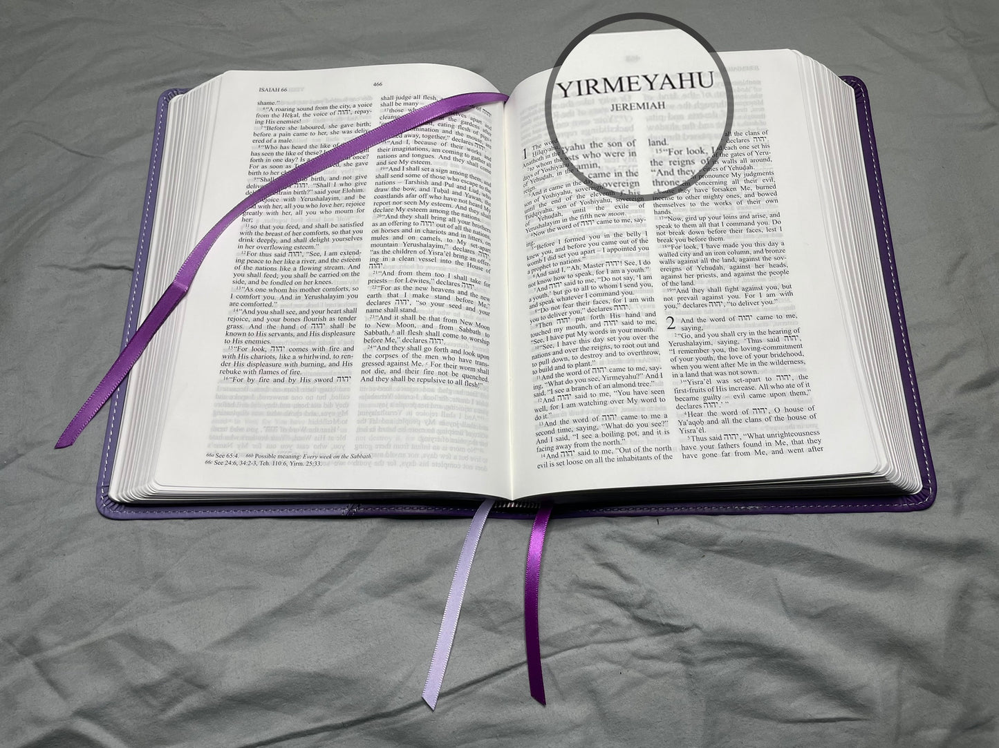 The Scripture, Duotone Purple