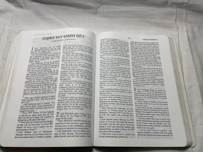 The Scriptures 2009 version - Soft Cover